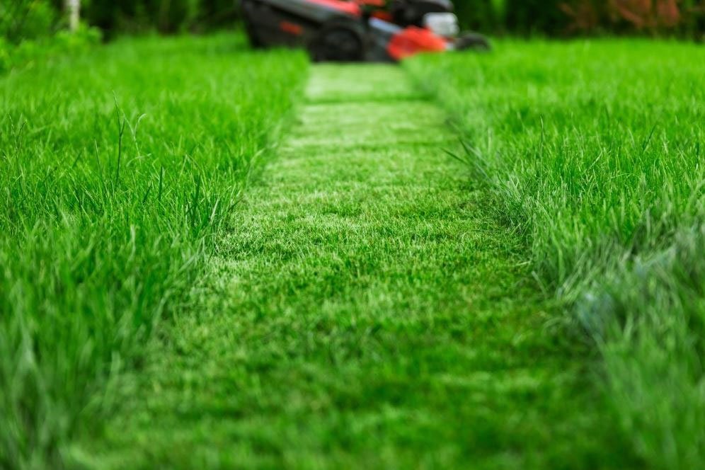 A lawn mower is actively cutting grass in a lush green field under clear skies.