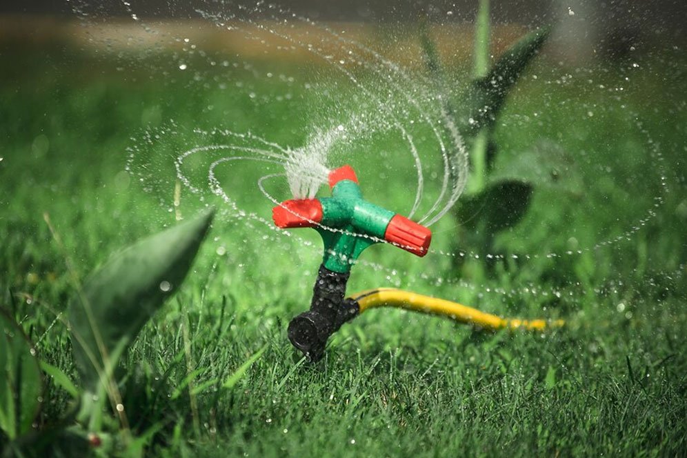 A sprinkler sprays water over a lush green lawn, creating a refreshing scene of garden care and maintenance.