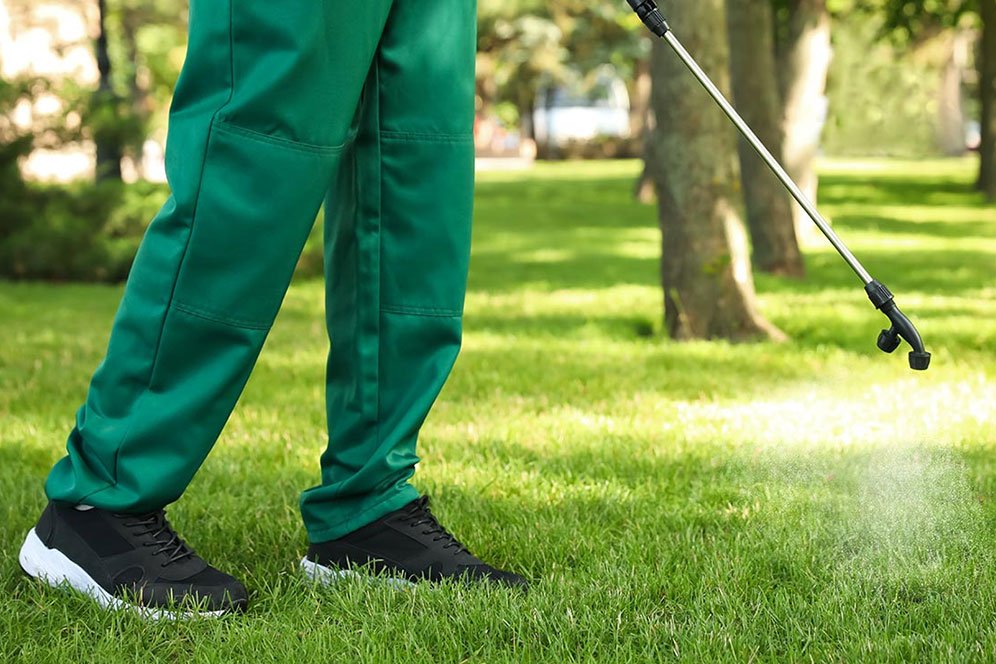 A person wearing green pants is watering a lawn using a hose.