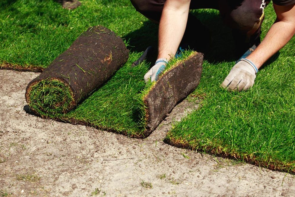 A man is unrolling a roll of grass on the ground, preparing to lay it for landscaping.