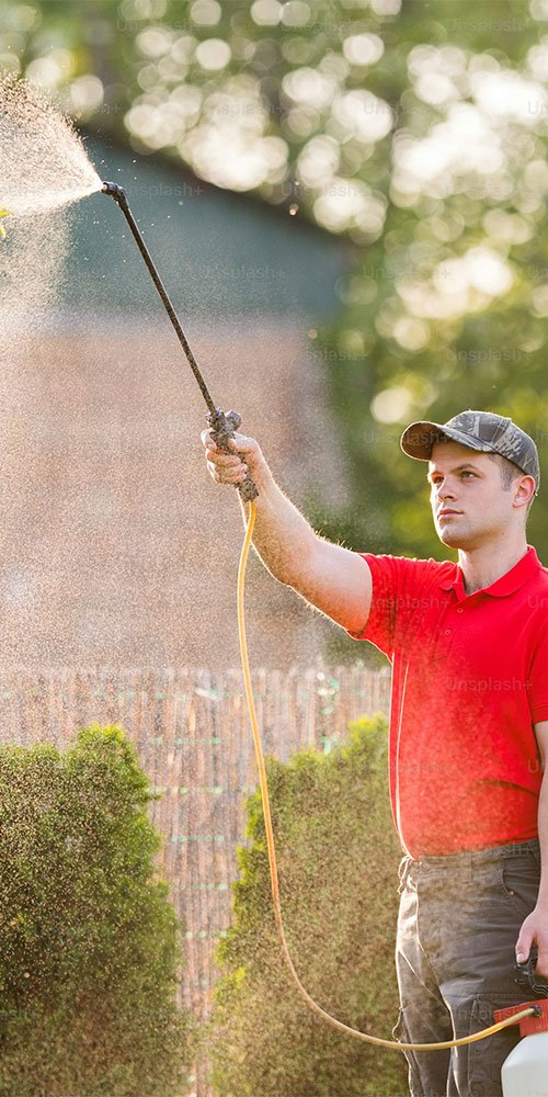 A man wearing a red shirt is using a hose to spray water in a garden setting.
