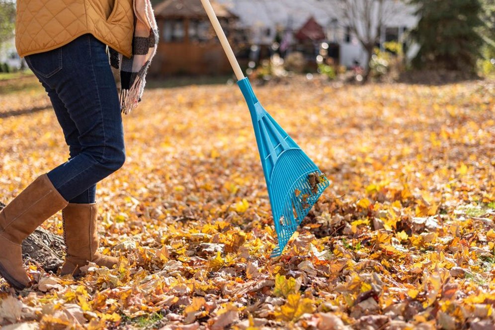 A woman rakes leaves from the ground, gathering them into a pile on a sunny day in a park.