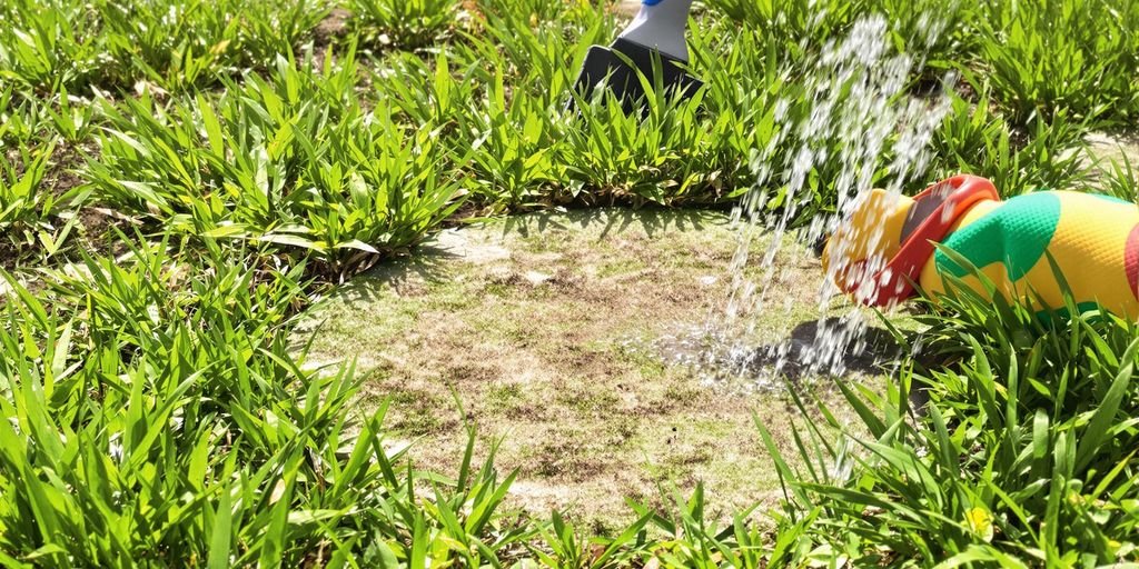 A watering can sprays water over a lush, green grassy area, nourishing the plants and enhancing the landscape.