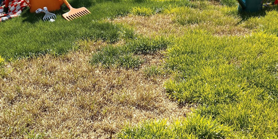  A serene lawn featuring a rake and a comfortable lawn chair, inviting relaxation and outdoor maintenance.