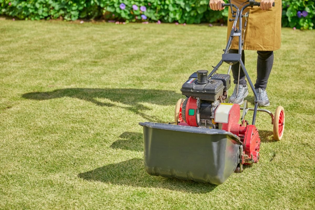 A woman using a lawn mower to cut grass in a well-maintained yard on a sunny day.