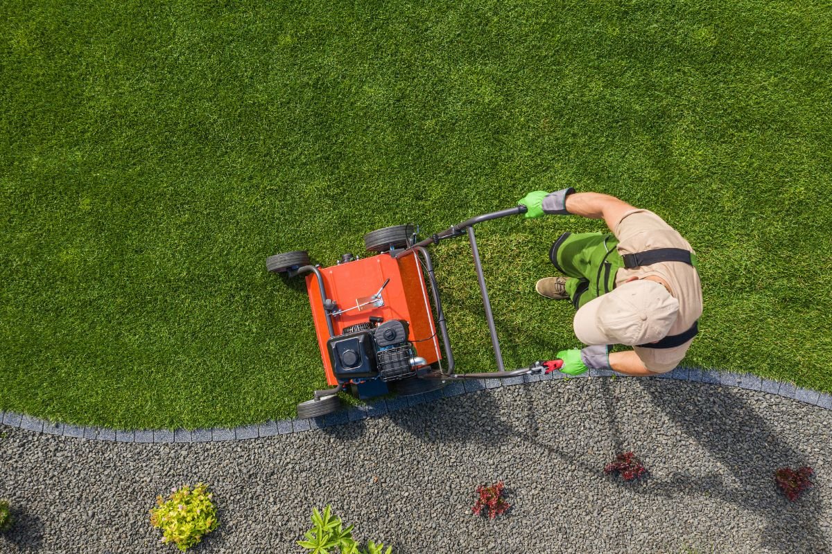  A man using a lawn mower to cut grass in a well-maintained yard on a sunny day.